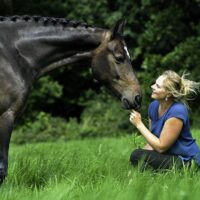 Paarden & Pony's