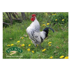 Gevogelte Weide - Bio-Ron