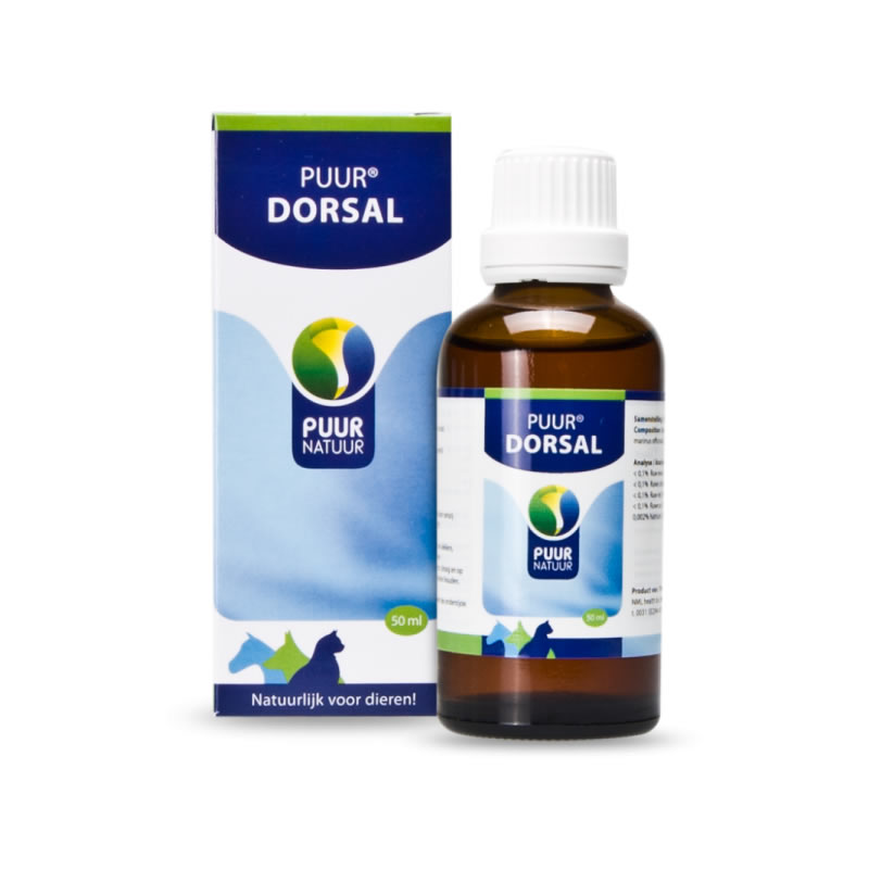 PUUR Dorsal