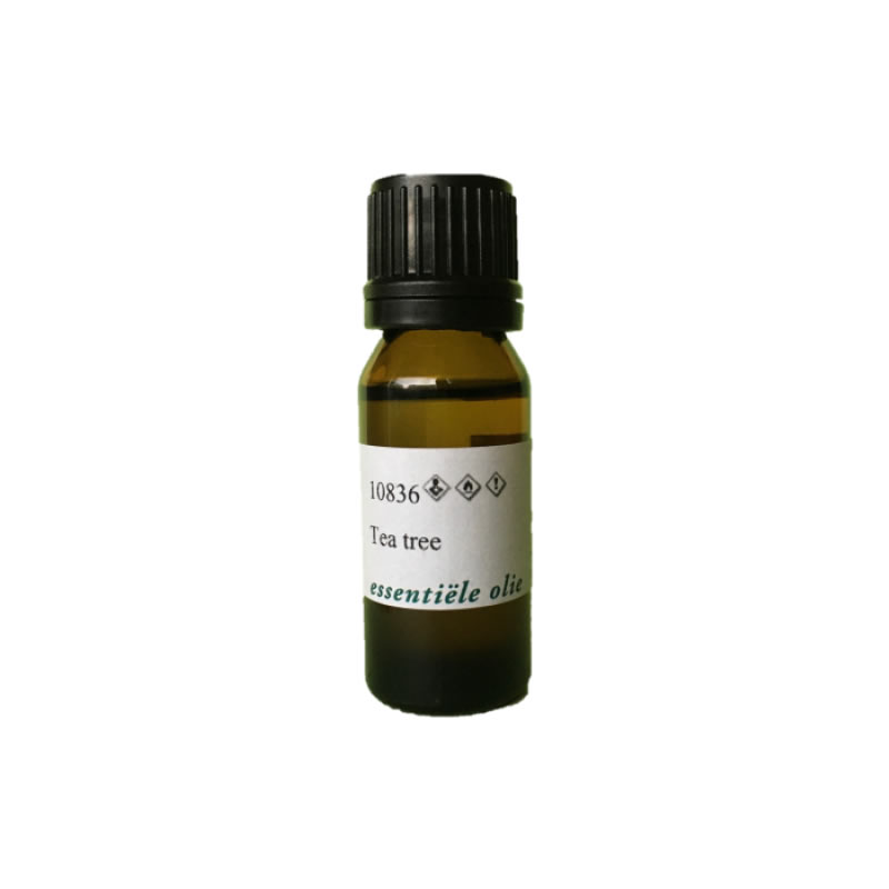 Tea Tree – Silverlinde