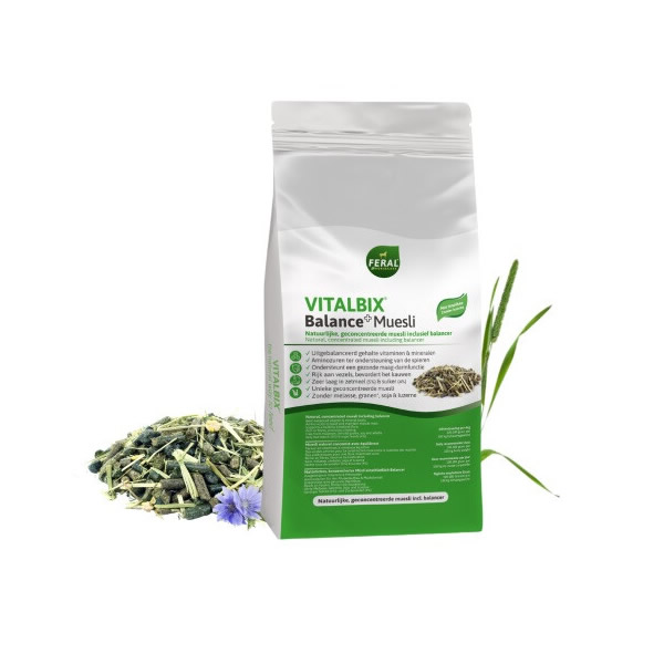 Balance+ Muesli – Vitalbix